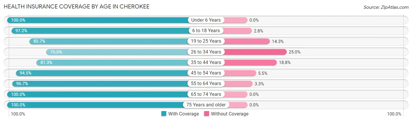 Health Insurance Coverage by Age in Cherokee