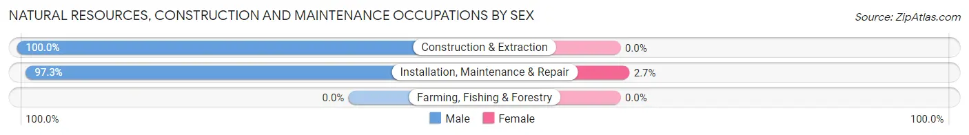 Natural Resources, Construction and Maintenance Occupations by Sex in Chickasaw