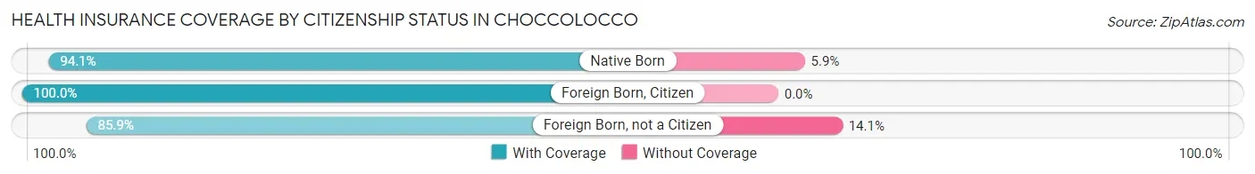 Health Insurance Coverage by Citizenship Status in Choccolocco