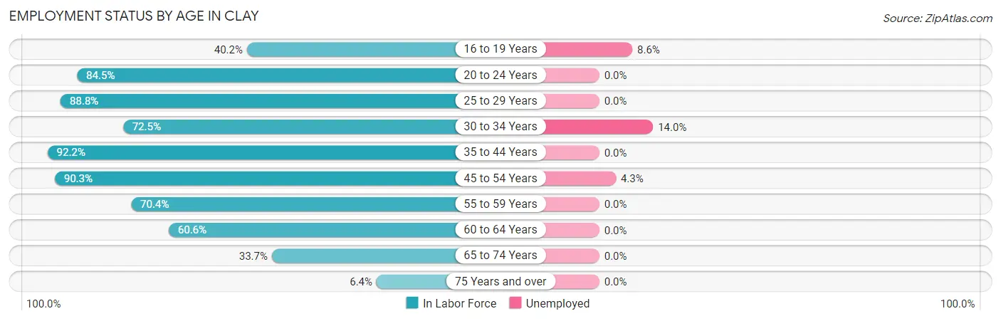 Employment Status by Age in Clay