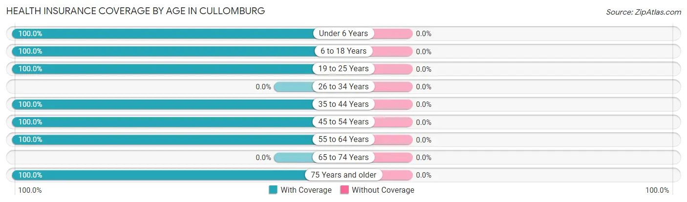 Health Insurance Coverage by Age in Cullomburg
