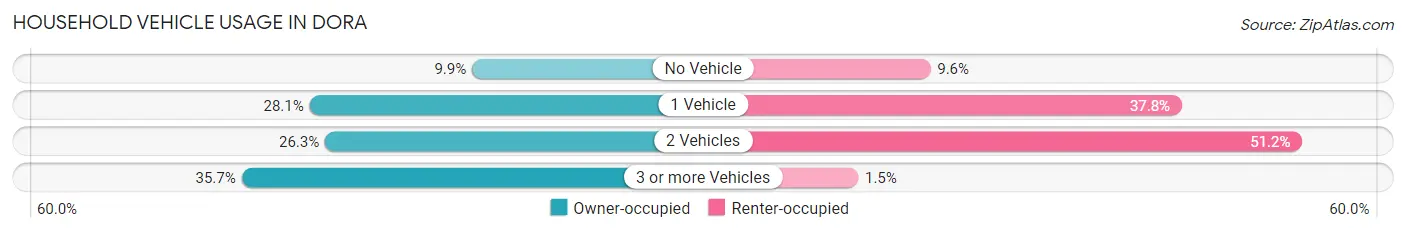 Household Vehicle Usage in Dora