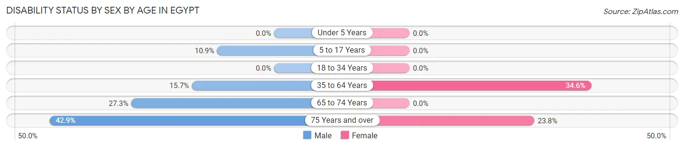 Disability Status by Sex by Age in Egypt
