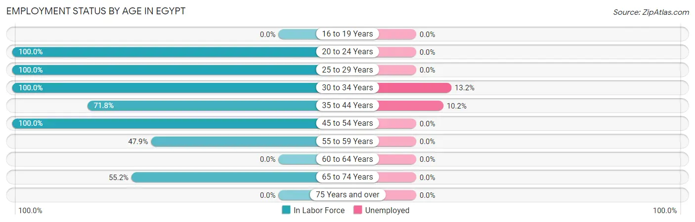 Employment Status by Age in Egypt