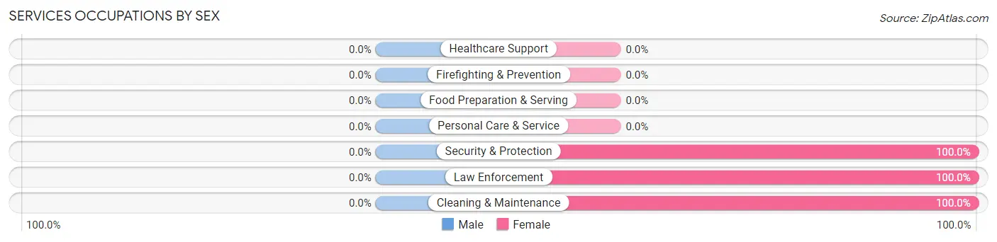 Services Occupations by Sex in Egypt