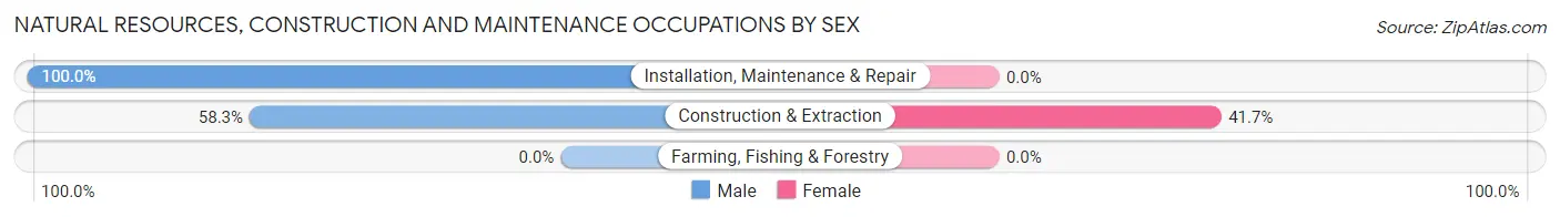Natural Resources, Construction and Maintenance Occupations by Sex in Elkmont