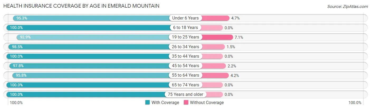 Health Insurance Coverage by Age in Emerald Mountain