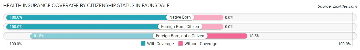 Health Insurance Coverage by Citizenship Status in Faunsdale