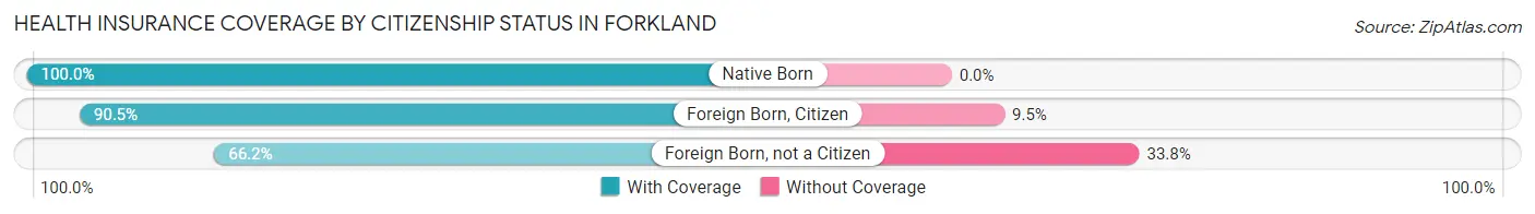 Health Insurance Coverage by Citizenship Status in Forkland