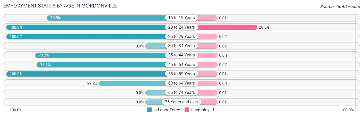Employment Status by Age in Gordonville