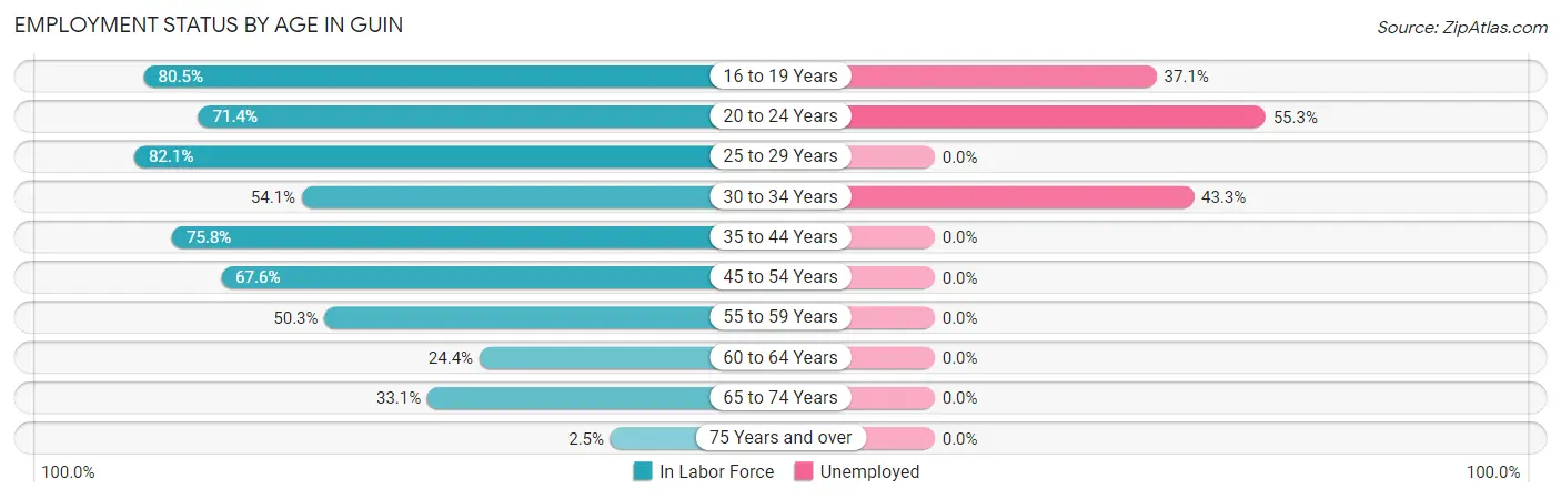 Employment Status by Age in Guin