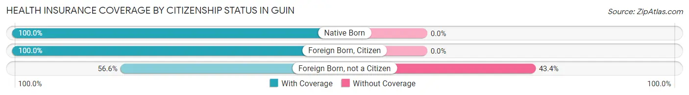 Health Insurance Coverage by Citizenship Status in Guin