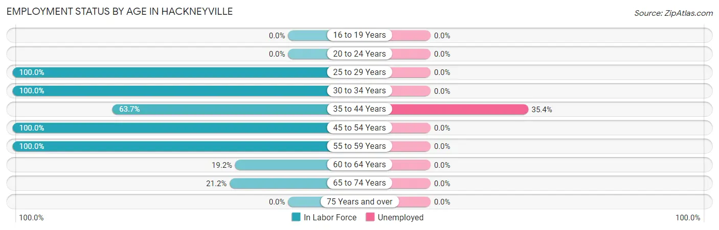 Employment Status by Age in Hackneyville