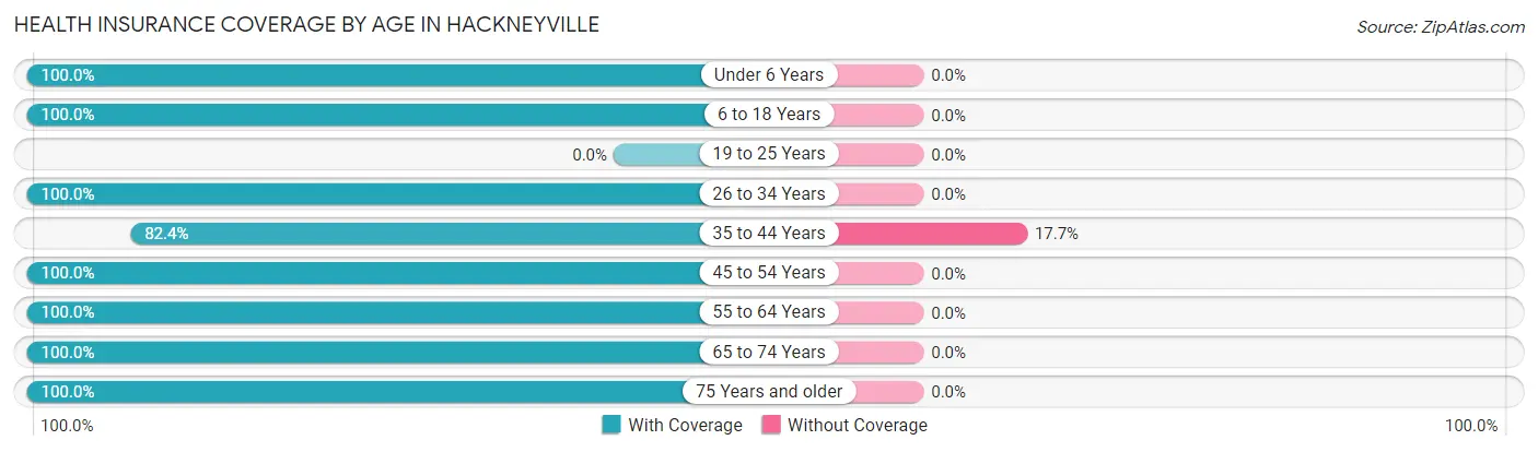 Health Insurance Coverage by Age in Hackneyville