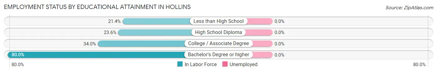 Employment Status by Educational Attainment in Hollins
