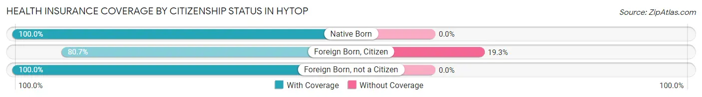 Health Insurance Coverage by Citizenship Status in Hytop