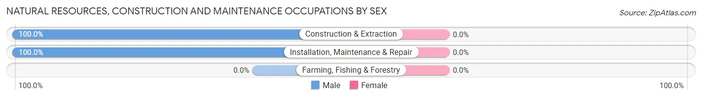 Natural Resources, Construction and Maintenance Occupations by Sex in Hytop