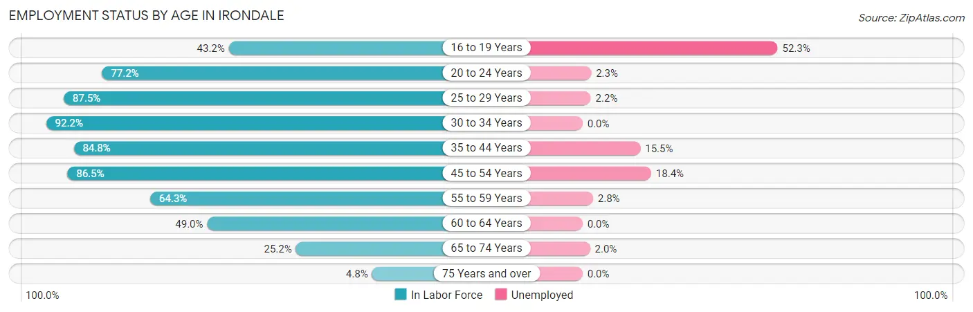 Employment Status by Age in Irondale