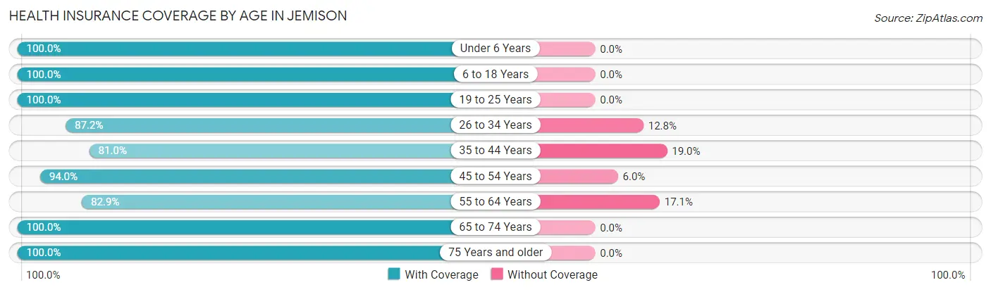 Health Insurance Coverage by Age in Jemison