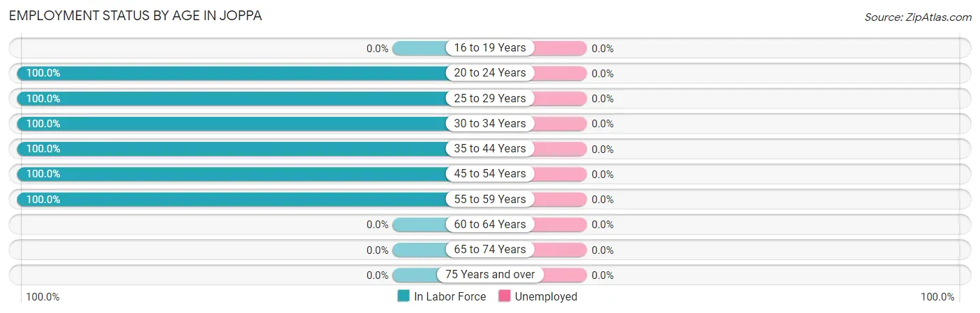 Employment Status by Age in Joppa