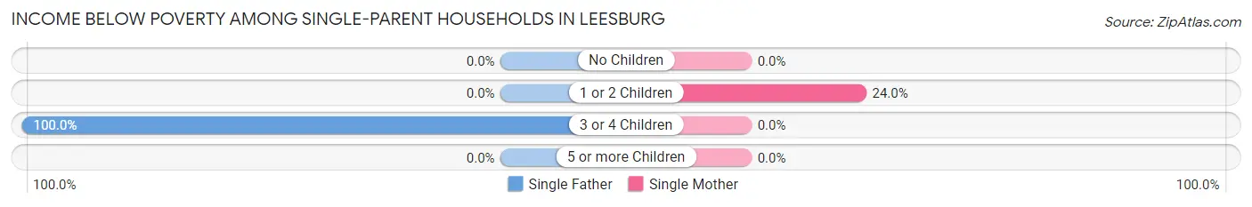 Income Below Poverty Among Single-Parent Households in Leesburg