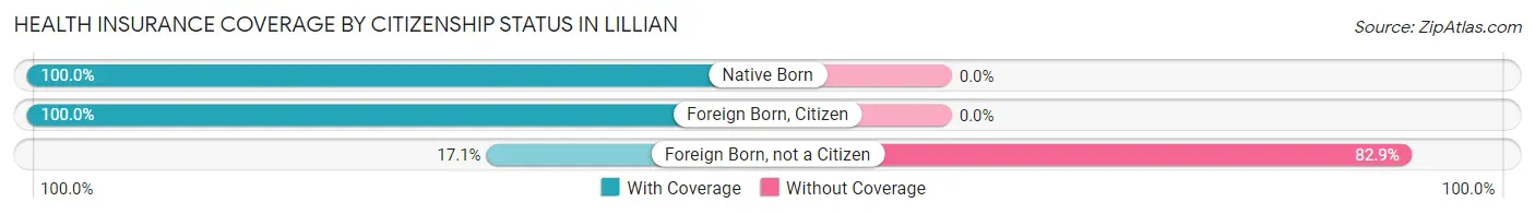 Health Insurance Coverage by Citizenship Status in Lillian