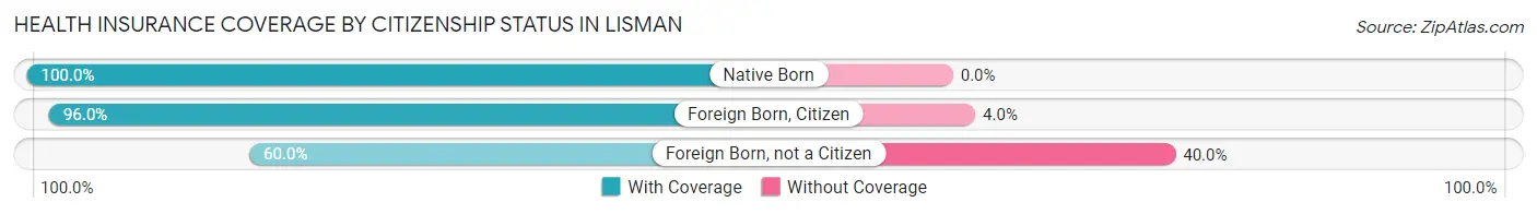 Health Insurance Coverage by Citizenship Status in Lisman