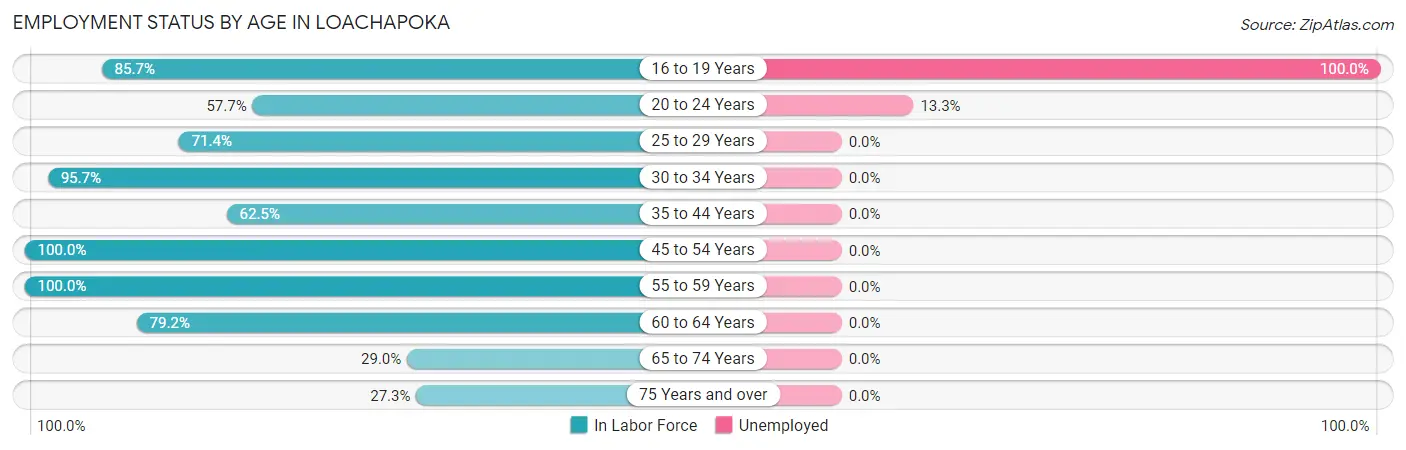 Employment Status by Age in Loachapoka