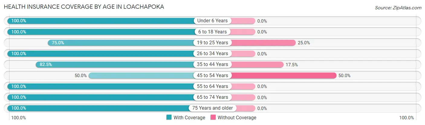 Health Insurance Coverage by Age in Loachapoka
