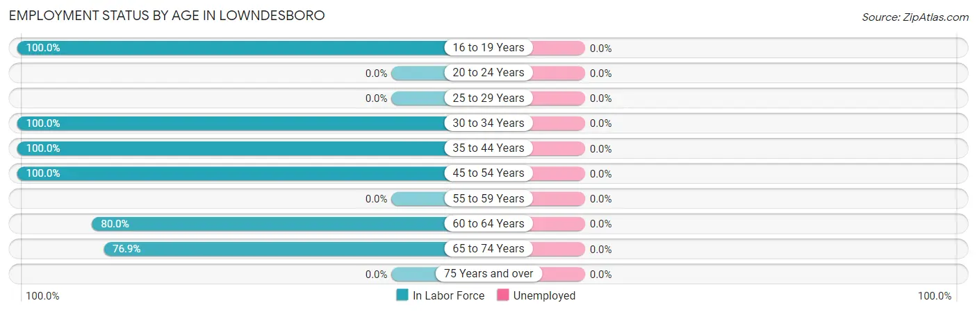 Employment Status by Age in Lowndesboro