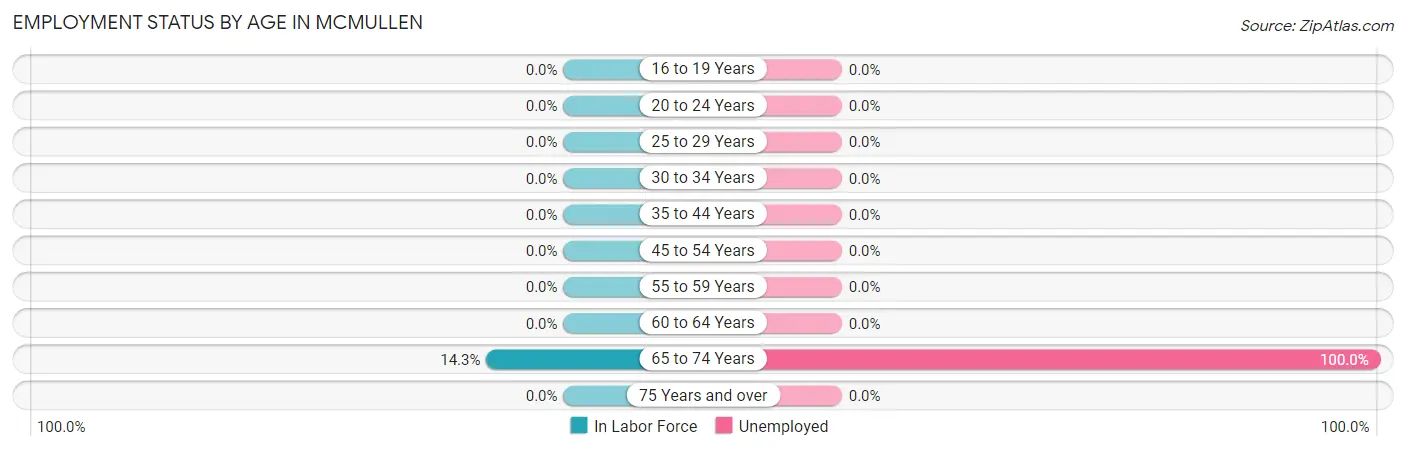 Employment Status by Age in McMullen