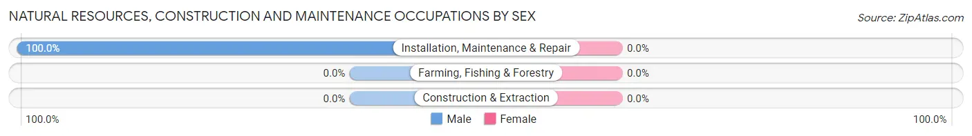 Natural Resources, Construction and Maintenance Occupations by Sex in Midway