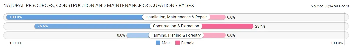 Natural Resources, Construction and Maintenance Occupations by Sex in Moores Mill