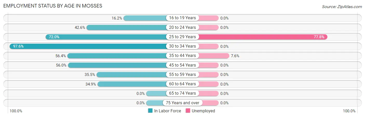 Employment Status by Age in Mosses