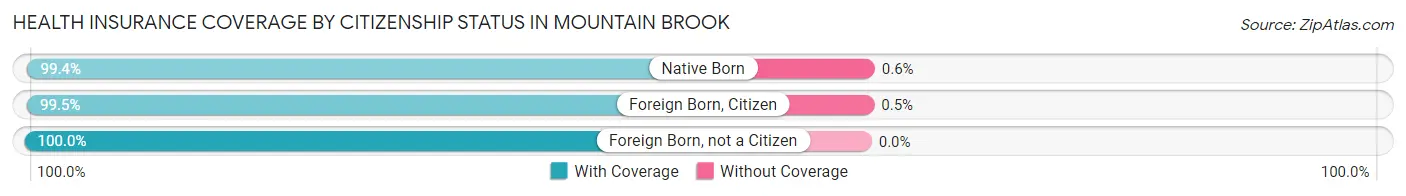Health Insurance Coverage by Citizenship Status in Mountain Brook
