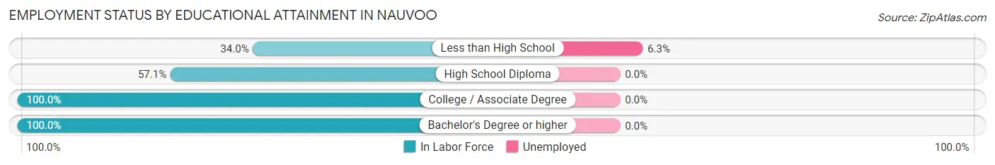 Employment Status by Educational Attainment in Nauvoo