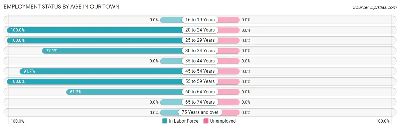 Employment Status by Age in Our Town