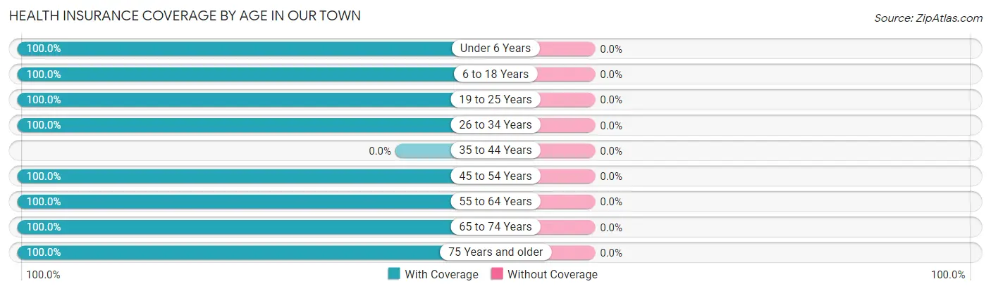 Health Insurance Coverage by Age in Our Town