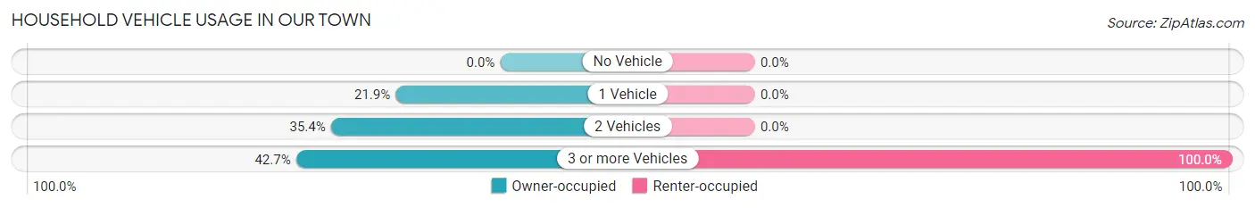 Household Vehicle Usage in Our Town
