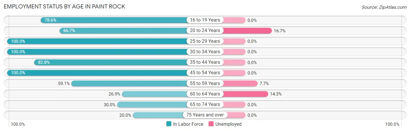 Employment Status by Age in Paint Rock