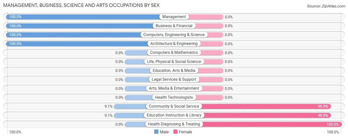 Management, Business, Science and Arts Occupations by Sex in Paint Rock