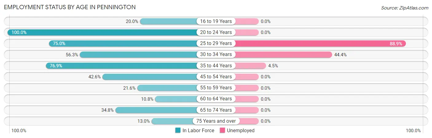 Employment Status by Age in Pennington