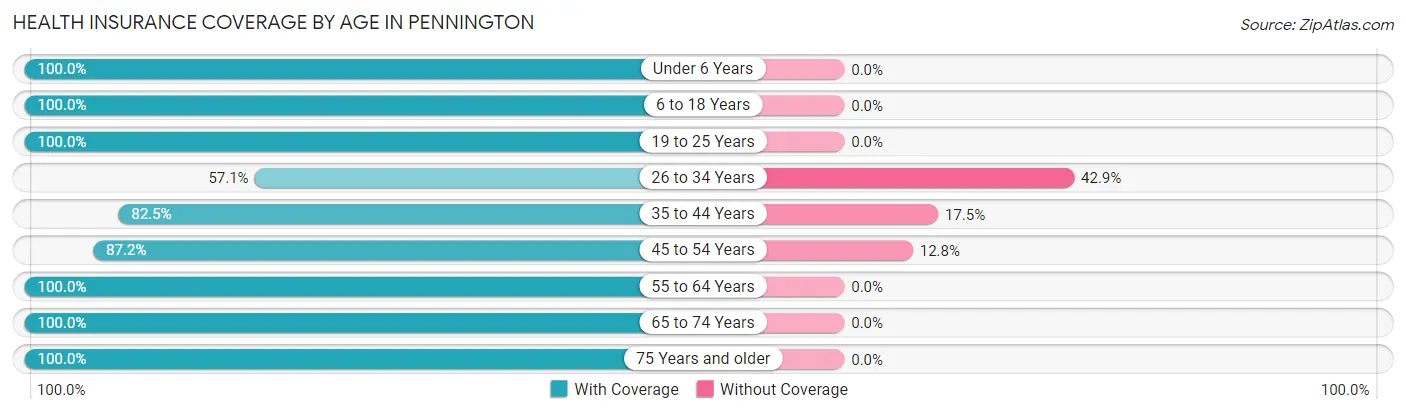 Health Insurance Coverage by Age in Pennington