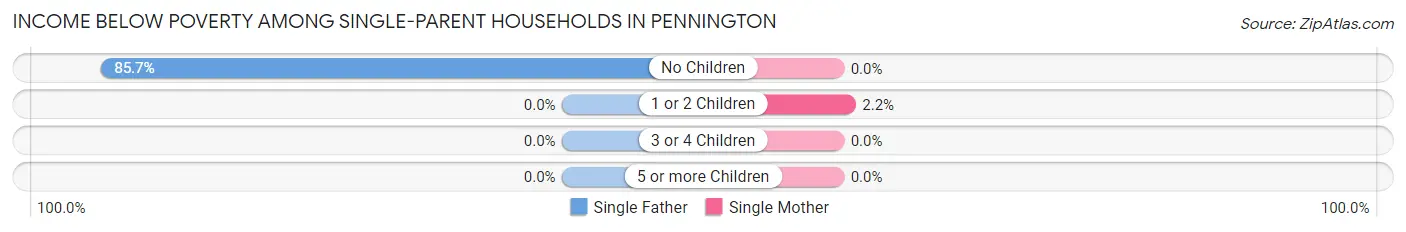 Income Below Poverty Among Single-Parent Households in Pennington