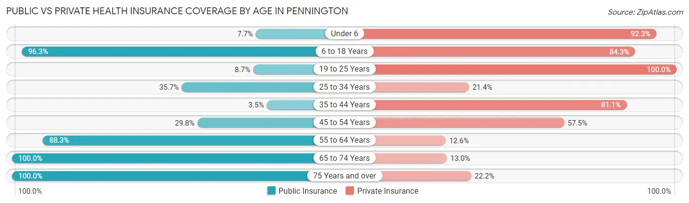 Public vs Private Health Insurance Coverage by Age in Pennington