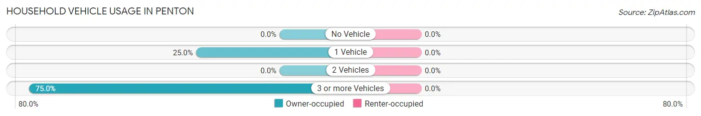 Household Vehicle Usage in Penton