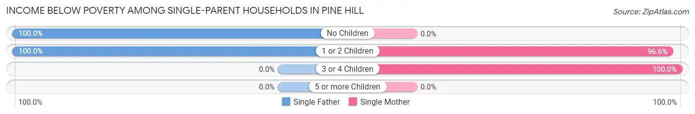Income Below Poverty Among Single-Parent Households in Pine Hill