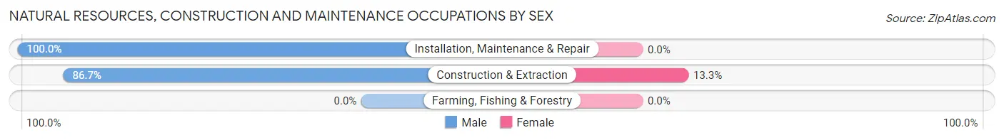 Natural Resources, Construction and Maintenance Occupations by Sex in Pine Level
