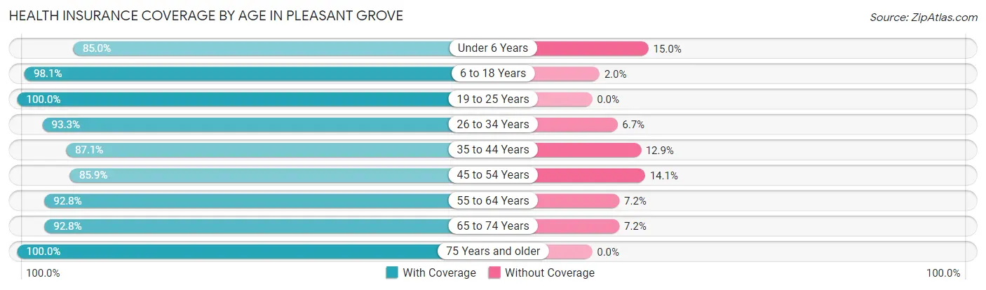 Health Insurance Coverage by Age in Pleasant Grove