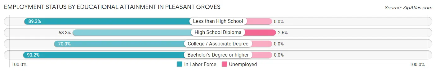 Employment Status by Educational Attainment in Pleasant Groves